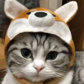 😐 emoji пупсич старший Telegram sticker 16 of 81