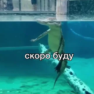 😏 emoji Не заходи сюда👉🏻 @stikiin Telegram sticker 18 of 50