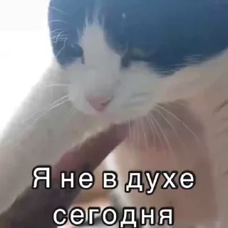 😰 emoji Не заходи сюда👉🏻 @stikiin Telegram sticker 6 of 50