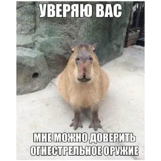 🍔 emoji Больше стиков тут: @stikery4 Telegram sticker 14 of 30
