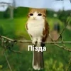 🥹 emoji Мини Билл ➡️ @Ctikerubot Telegram sticker 8 of 8