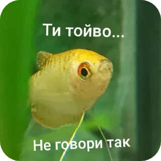 🙁 emoji Гурамі золотий | by @MrFaulpelz Telegram sticker 7 of 61