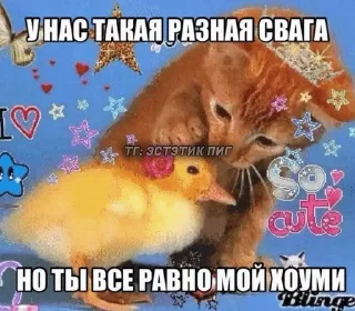 🫛 emoji ну и хуйня Telegram sticker 18 of 42