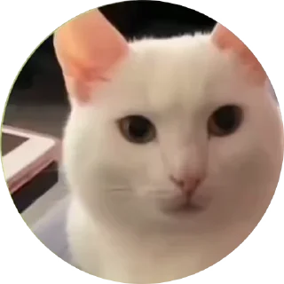 🤩 emoji Space_of_Venera ➡️ @Ctikerubot Telegram sticker 8 of 120