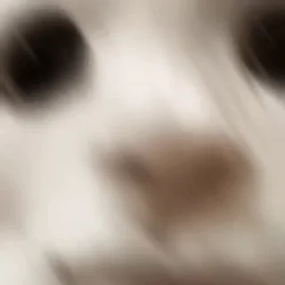 🥴 emoji Набор стикеров от @Ctikerubot Telegram sticker 5 of 44