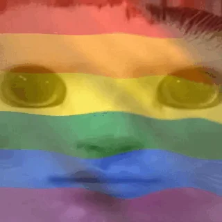🏳️‍🌈 emoji Набор стикеров от @Ctikerubot Telegram sticker 2 of 44