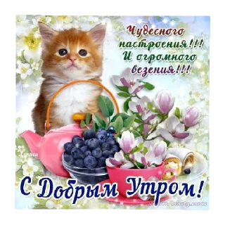 Sticker from Элис спит