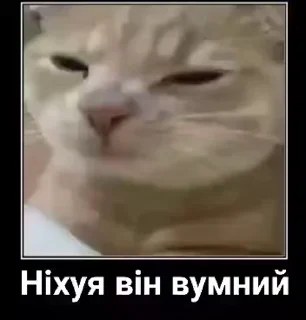 🌟 emoji Больше стикеров 👉🏻 @stickertg4 Telegram sticker 18 of 50