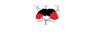 Sticker from Lida?