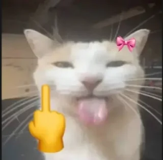 🌟 emoji ZAKON chat pack by @QuotLyBot Telegram sticker 19 of 44
