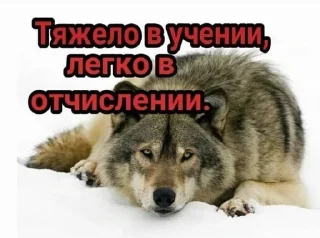 Sticker from бубылды