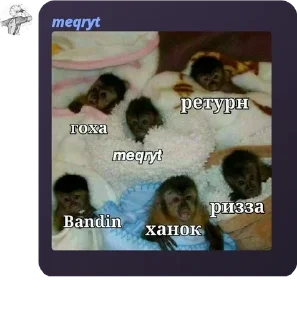 💟 emoji Тот самый новый кз фд pack by @QuotLyBot Telegram sticker 1 of 120