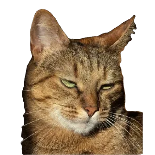 🫥 emoji Міла Telegram sticker 10 of 14