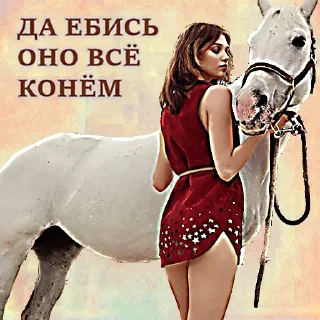 🐴 emoji Больше стиков тут: @stikery4 Telegram sticker 7 of 120