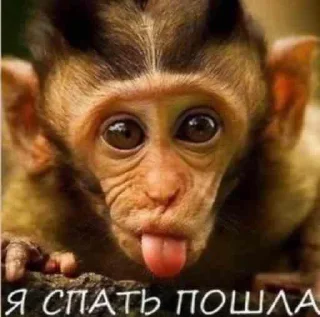 🚹 emoji пол Telegram sticker 21 of 102