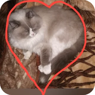 👍 emoji Милтон Telegram sticker 12 of 30