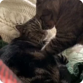 💕 emoji @stikerk877 Telegram sticker 16 of 23
