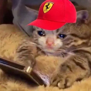 Sticker from ferrari memes: c² edition