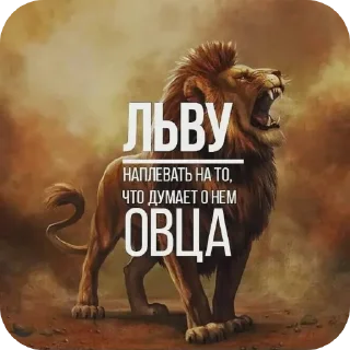🖼 emoji Пока лев молчит, дворняга гавкает Telegram sticker 1 of 7