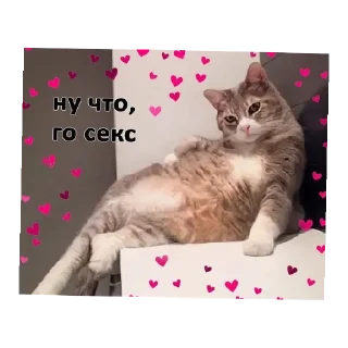 😄 emoji Вау Telegram sticker 11 of 13