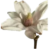 🏵 emoji D3rking ; by @tsyllwr Telegram sticker 16 of 168