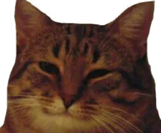 😼 emoji Sweet chili sauce Telegram sticker 18 of 113