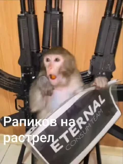 🤩 emoji Бибизянко ат @S1nchick @TgEmodziBot Telegram sticker 10 of 48