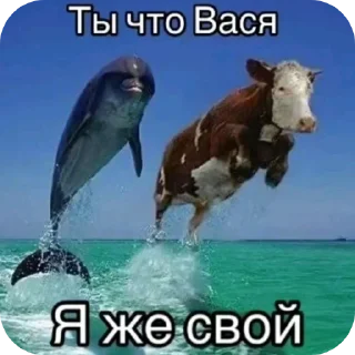 🖼 emoji Док Telegram sticker 15 of 65