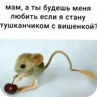 Sticker from Гы