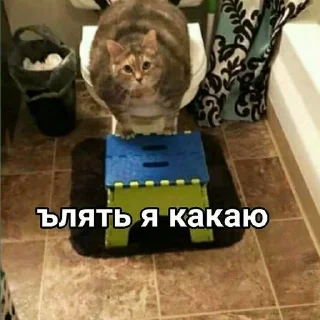 Sticker from гы