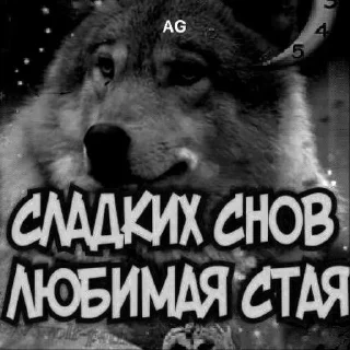 🌟 emoji союз,который исчез со всех радаров Telegram sticker 20 of 52