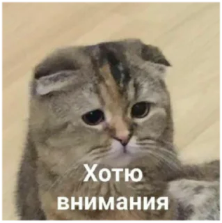 ☹️ emoji Young People by Young Yorti Telegram sticker 13 of 54