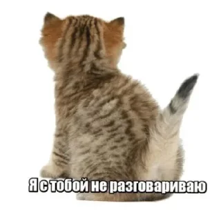 🤩 emoji Больше стикеров: @sticerru Telegram sticker 23 of 60