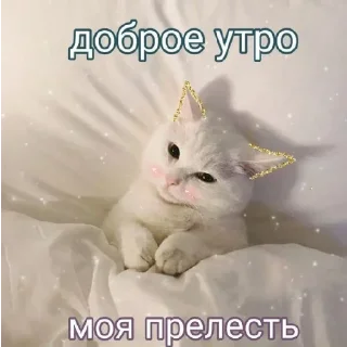 💞 emoji Больше стикеров: @sticerru Telegram sticker 16 of 60