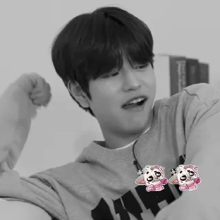 🌹 emoji SEUNGMIN BY @SNGMNARCH ➡️ @Ctikerubot Telegram sticker 22 of 35