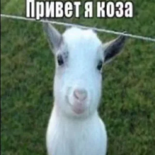 🆘 emoji я который самый несчастный Telegram sticker 23 of 60