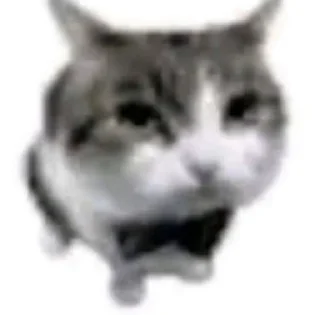 🌟 emoji я который самый несчастный Telegram sticker 22 of 60