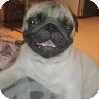 🐶 emoji Пёс Гомо Telegram sticker 19 of 120
