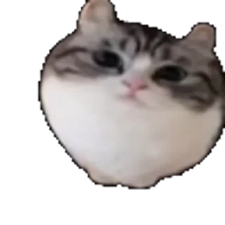 🤩 emoji Камару ➡️ @Ctikerubot Telegram sticker 5 of 21