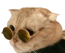 😎 emoji Aainalaiyn v.2 — @stckrRobot Telegram sticker 13 of 114