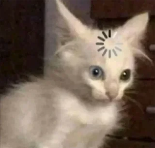 😵‍💫 emoji мы котики♡♡ Telegram sticker 12 of 31