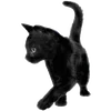 🦷 emoji 💥 шик шак шок 💥 ➡️ @Ctikerubot Telegram sticker 17 of 43
