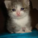 😢 emoji made by the psycho Telegram sticker 20 of 85