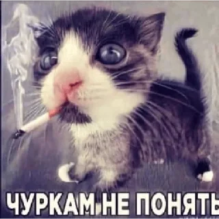 🤩 emoji да иди нахуй Telegram sticker 18 of 28