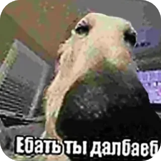 Sticker from Да иди нахуй