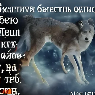 🐺 emoji BOOlK AlEOTEBlAH OTlAEB KEBOlA Telegram sticker 6 of 55