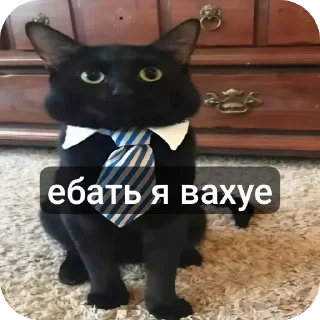 🐱 emoji фонтан детей навук💀 Telegram sticker 3 of 116