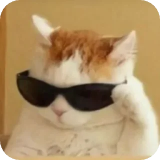 😎 emoji центр чатнет стики Telegram sticker 17 of 41