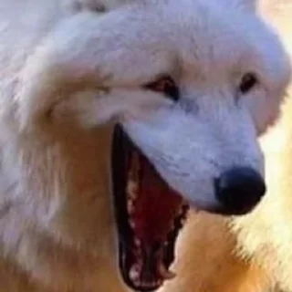 😂 emoji дэб Telegram sticker 17 of 42