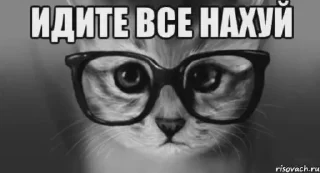 😞 emoji соси кикуке ➡️ @Ctikerubot Telegram sticker 3 of 78